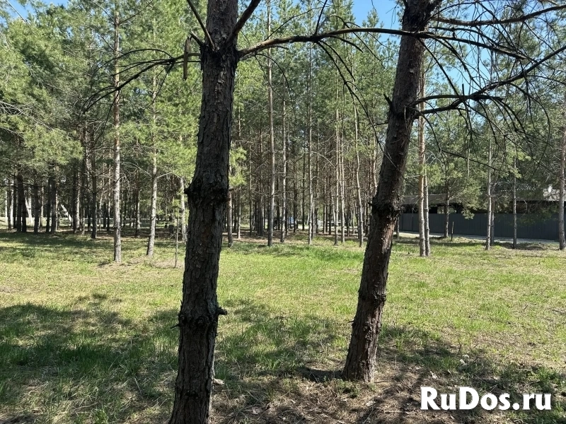 Продам участок 11.5 сот. изображение 4