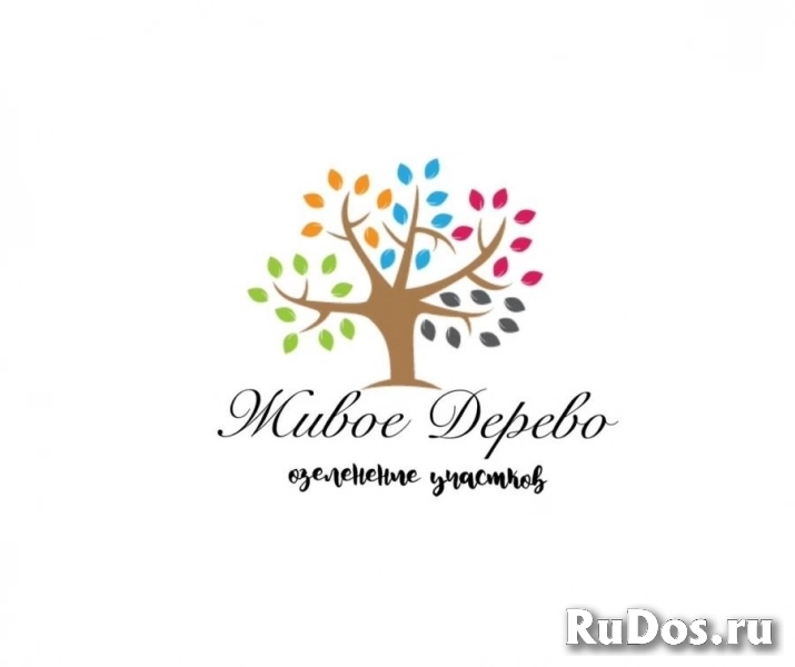 , купить растения изображение 5