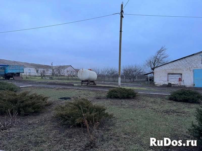 Агрохозяйство 452 гектара,Старобешево изображение 4