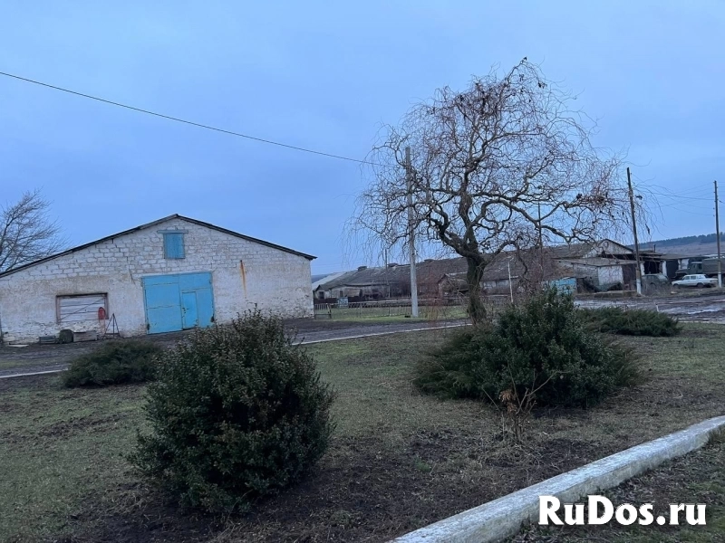 Агрохозяйство 452 гектара,Старобешево изображение 3