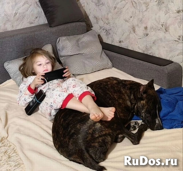 Замечательная Ляля в добрые руки! изображение 5