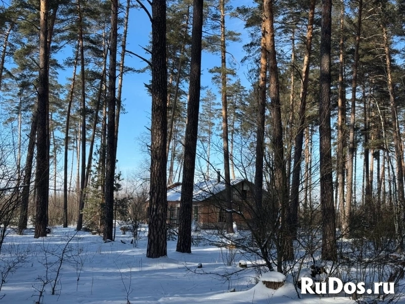Продам коммерческую недвижимость 10148.2 м2 изображение 6