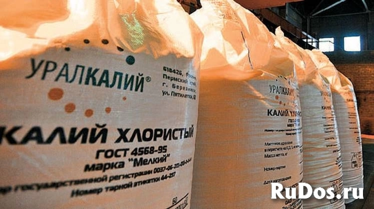 Закупаем лимонная кислота, медный купорос, цитрат натрия, перкарбонат натрия и другую химию неликвиды по РФ фотка
