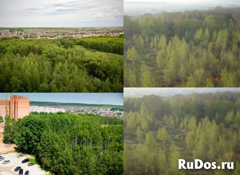 Карачаровская Лес Казани изображение 8