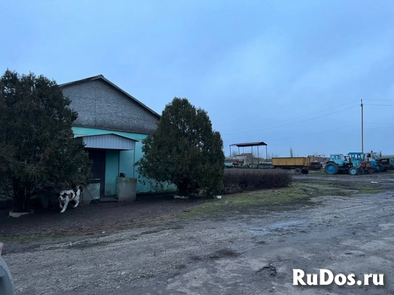 Агрохозяйство 452 гектара,Старобешево фотка