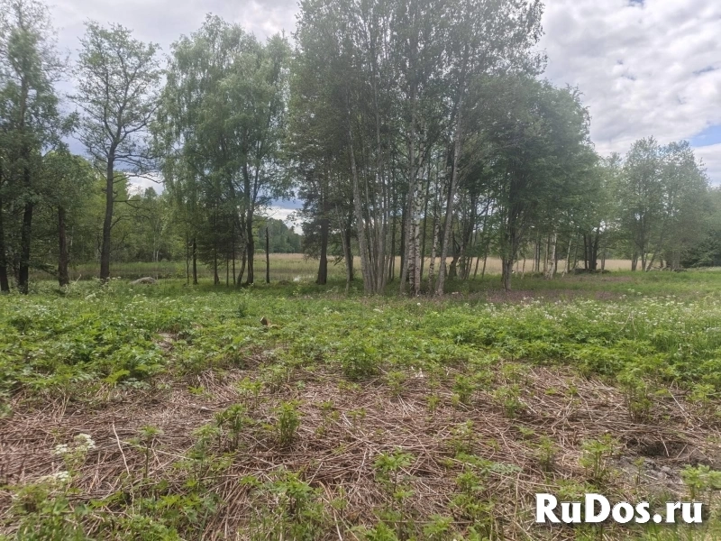 Продам участок 15 сот. изображение 7