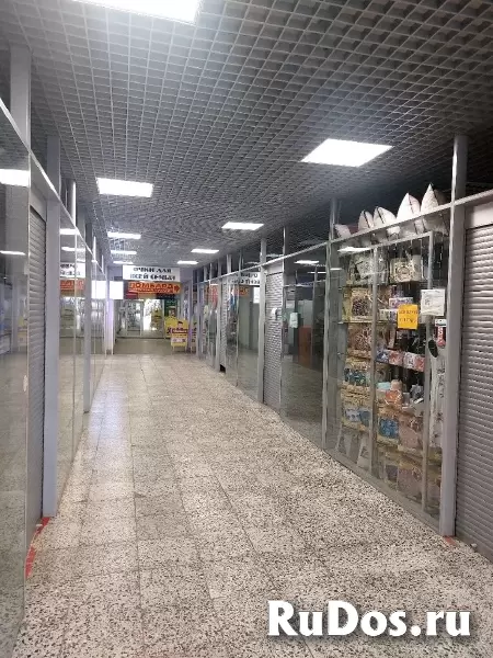 Сдам в аренду помещение от собственника в г Ломоносов 93,4 кв.м. фотка