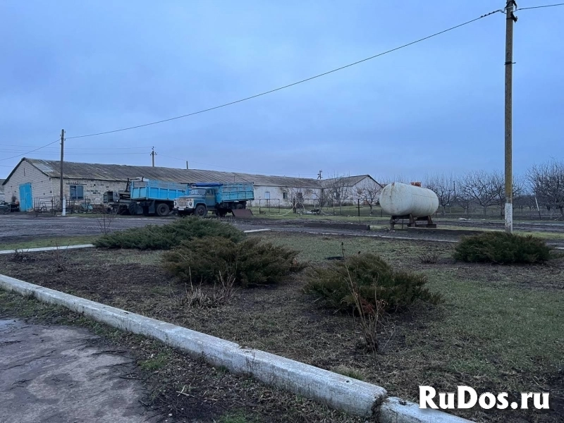 Агрохозяйство 452 гектара,Старобешево изображение 5