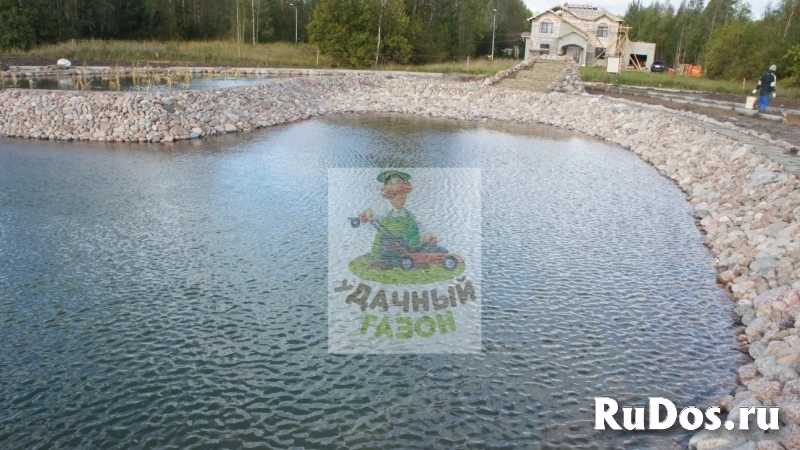Газон под ключ фотка