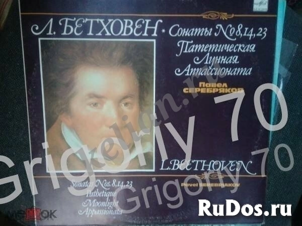 Пластинки разные изображение 9