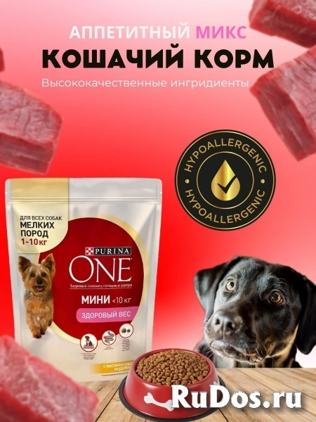 Информатика для маркетплейсов изображение 3