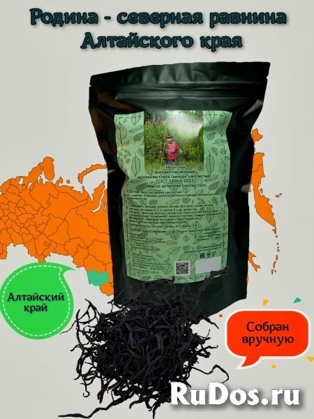 Иван-чай из Алтайского края изображение 8