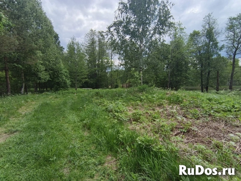 Продам участок 20.25 сот. изображение 4