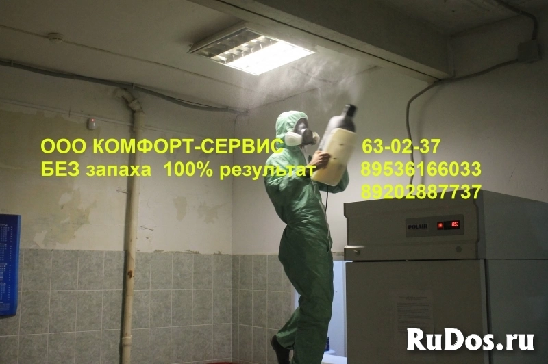 Уничтожение тараканов и клопов холодным туманом изображение 7