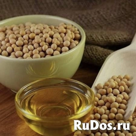 Масло соевое рафинированное дезодорированное изображение 6