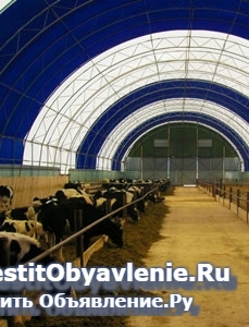 Ангары, склады, зернохранилища, фермы изображение 4