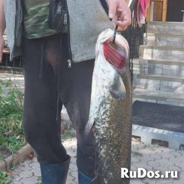 Дом изображение 9