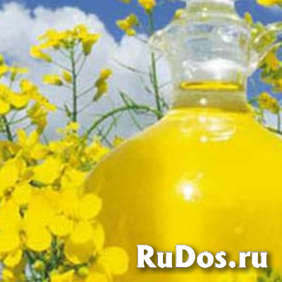 Производство растительных масел изображение 5