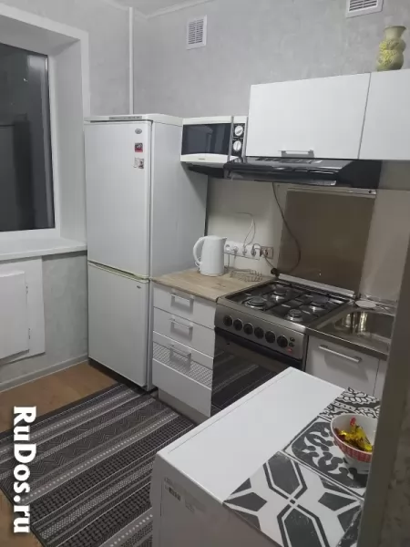 Аренда у Дмитрия изображение 4