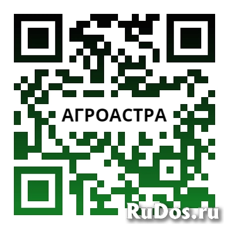 Семена  сорт  подсолнечника  Казачий купить фотка