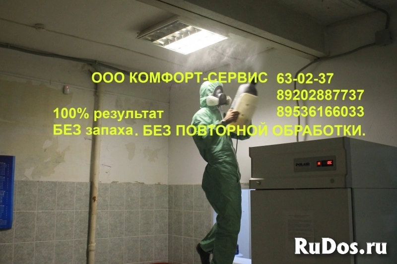 Уничтожение тараканов и клопов холодным туманом изображение 5