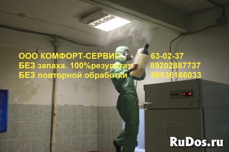 Уничтожение тараканов и клопов холодным туманом изображение 6
