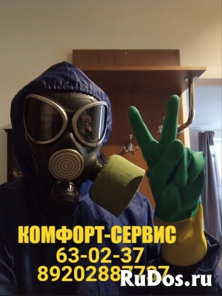 Уничтожение тараканов и клопов холодным туманом фотка