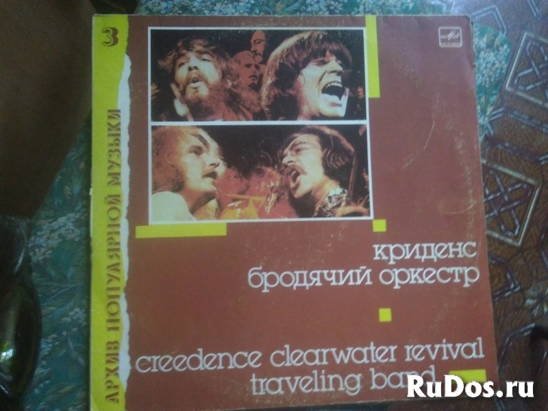 Пластинки разные изображение 4