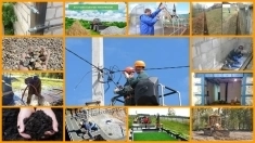 Благоустройство участка и расчистка от зарослей профессионально в объявлении 7 фото Благоустройство участка и расчистка от зарослей профессионально картинка из объявления
