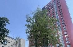 Продам 2 комнатную квартиру 56 м2 картинка из объявления