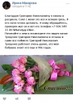 Специалист маг экстрасенс в области магии вуду гадание таро руны картинка из объявления