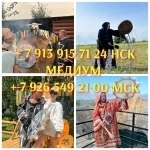 Гадание / Таро / Чистка /Магия/ Приворот от 1 000 ₽ за услугу   к картинка из объявления