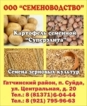 "Семеноводство": семенной картофель, зерновые культуры в объявлении 4 фото "Семеноводство": семенной картофель, зерновые культуры картинка из объявления