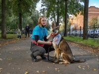 Звезда в добоые руки! в объявлении 6 фото Звезда в добоые руки! картинка из объявления