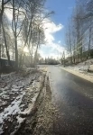 Рельефный участок с вековыми деревьями. картинка из объявления