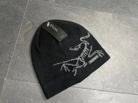 Мужская шапка Arcteryx в объявлении 3 фото Мужская шапка Arcteryx картинка из объявления