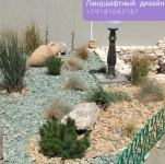 Посадка растений в объявлении 6 фото Посадка растений картинка из объявления