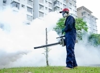 Уничтожение тараканов в объявлении 1 фото Уничтожение тараканов картинка из объявления