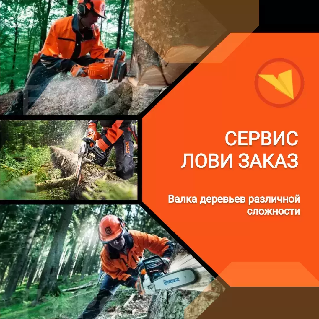 Вальщик леса в объявлении 1 фото Вальщик леса картинка из объявления