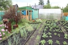 Продам дачу 30 кв.м. в объявлении 10 фото Продам дачу 30 кв.м. картинка из объявления