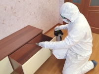 Дезинсекция тараканов и клопов в объявлении 1 фото Дезинсекция тараканов и клопов картинка из объявления