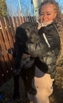 Щенки благородной дворянской породы , ищут ответственных хозяев в объявлении 7 фото Щенки благородной дворянской породы , ищут ответственных хозяев картинка из объявления