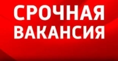 Удаленная работа / Подработка картинка из объявления