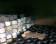 Запчасти насос НБ-125,НЦ-320,9Т,9мгр,ЦА-320 в объявлении 3 фото Запчасти насос НБ-125,НЦ-320,9Т,9мгр,ЦА-320 картинка из объявления