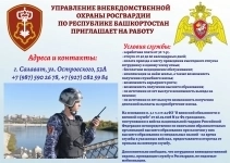 Старший полицейский и полицейский водитель в объявлении 3 фото Старший полицейский и полицейский водитель картинка из объявления