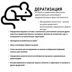 Служба дезинфекции «УМКа» - Дератизация уничтожение грызунов в объявлении 2 фото Служба дезинфекции «УМКа» - Дератизация уничтожение грызунов картинка из объявления