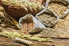 Продаем пшеницу, овес, ячмень, кукурузу и рожь в объявлении 1 фото Продаем пшеницу, овес, ячмень, кукурузу и рожь картинка из объявления