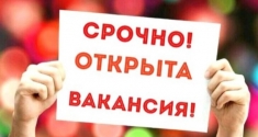 Менеджер удалённо в объявлении 1 фото Менеджер удалённо картинка из объявления