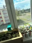 Сдам квартиру студия в объявлении 5 фото Сдам квартиру студия картинка из объявления