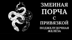 МОСКВА! ЧЁРНАЯ МАГИЯ! ЗМЕИНАЯ ПОРЧА С ПРИВЯЗКОЙ НА РАК ПОДЖЕЛУДОЧНОЙ ЖЕЛЕЗЫ ( ОБИДЧИКУ, ОБИДЧИЦЕ )! РУССКАЯ в объявлении 1 фото МОСКВА! ЧЁРНАЯ МАГИЯ! ЗМЕИНАЯ ПОРЧА С ПРИВЯЗКОЙ НА РАК ПОДЖЕЛУДОЧНОЙ ЖЕЛЕЗЫ ( ОБИДЧИКУ, ОБИДЧИЦЕ )! РУССКАЯ картинка из объявления